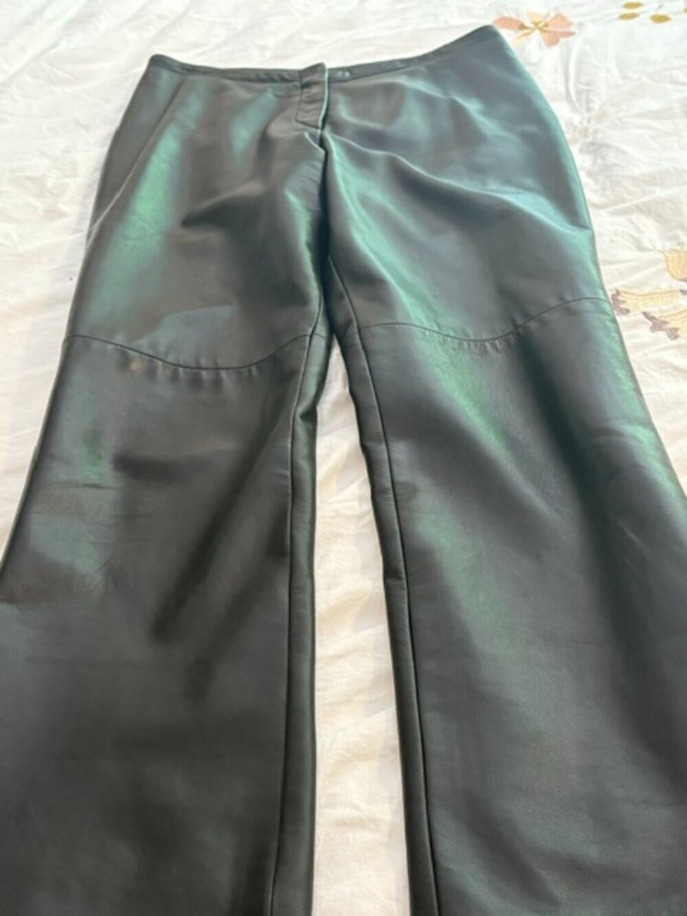 Danier Leather Pants